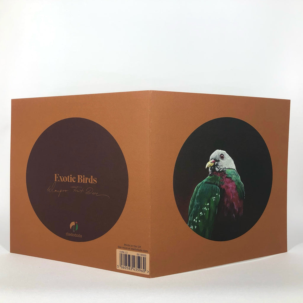 Wompoo Fruit Dove Greeting Card