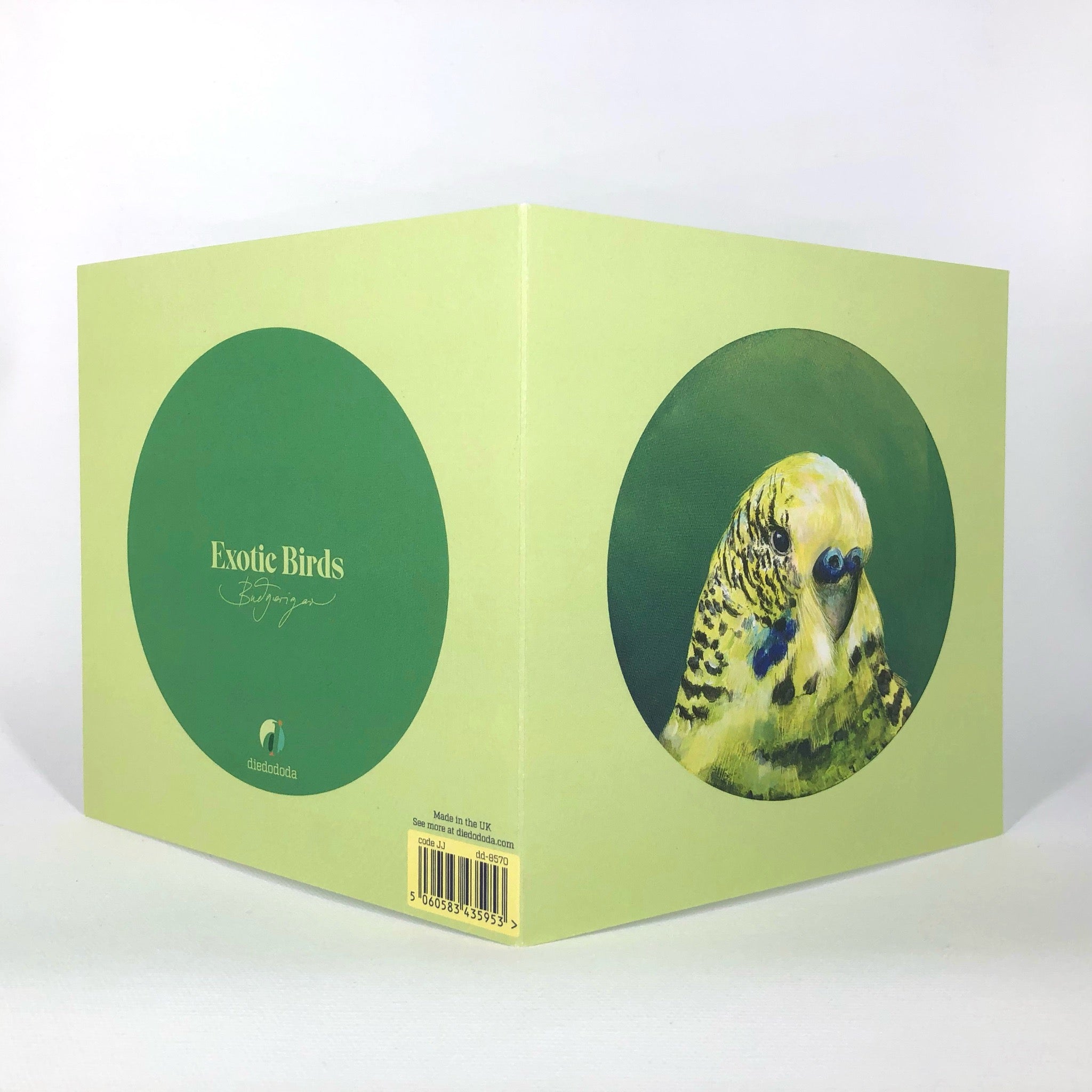 Green Budgie Greeting Card