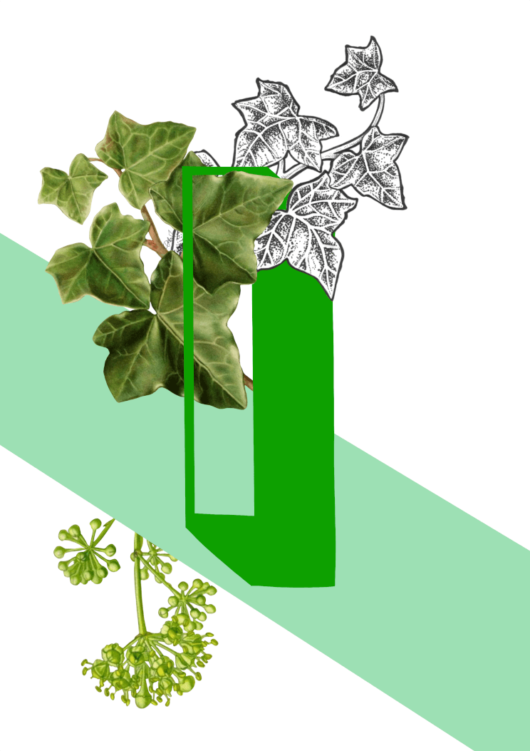 Botanical Alphabet I A2 Print