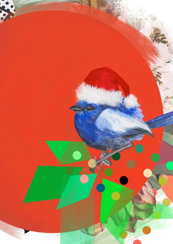 Fairywren Christmas