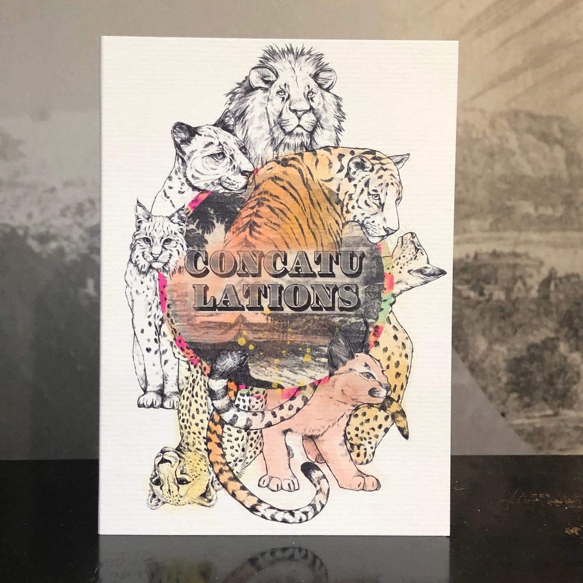 Concatulations Greeting Card