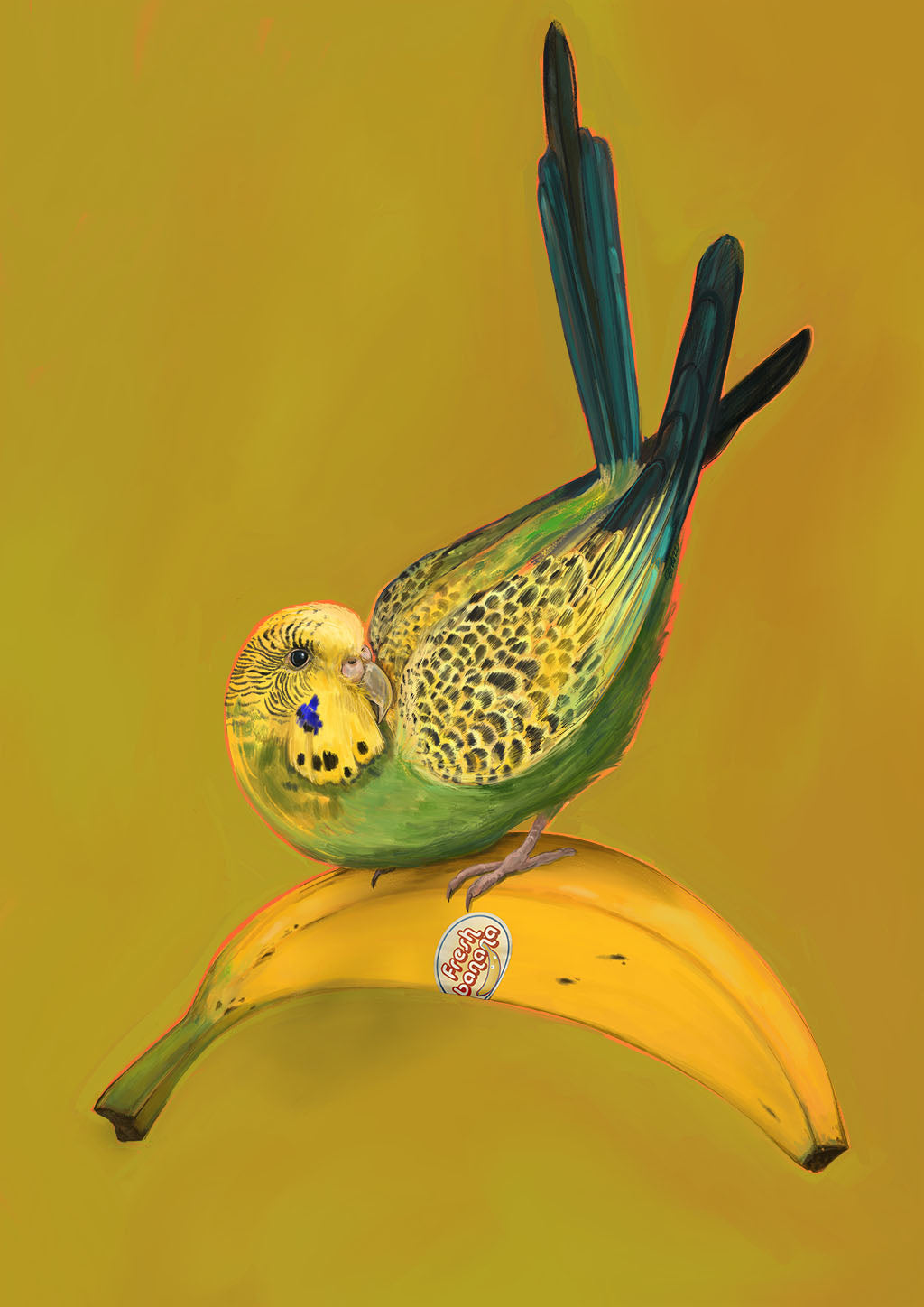 9146 Banana Budgie 