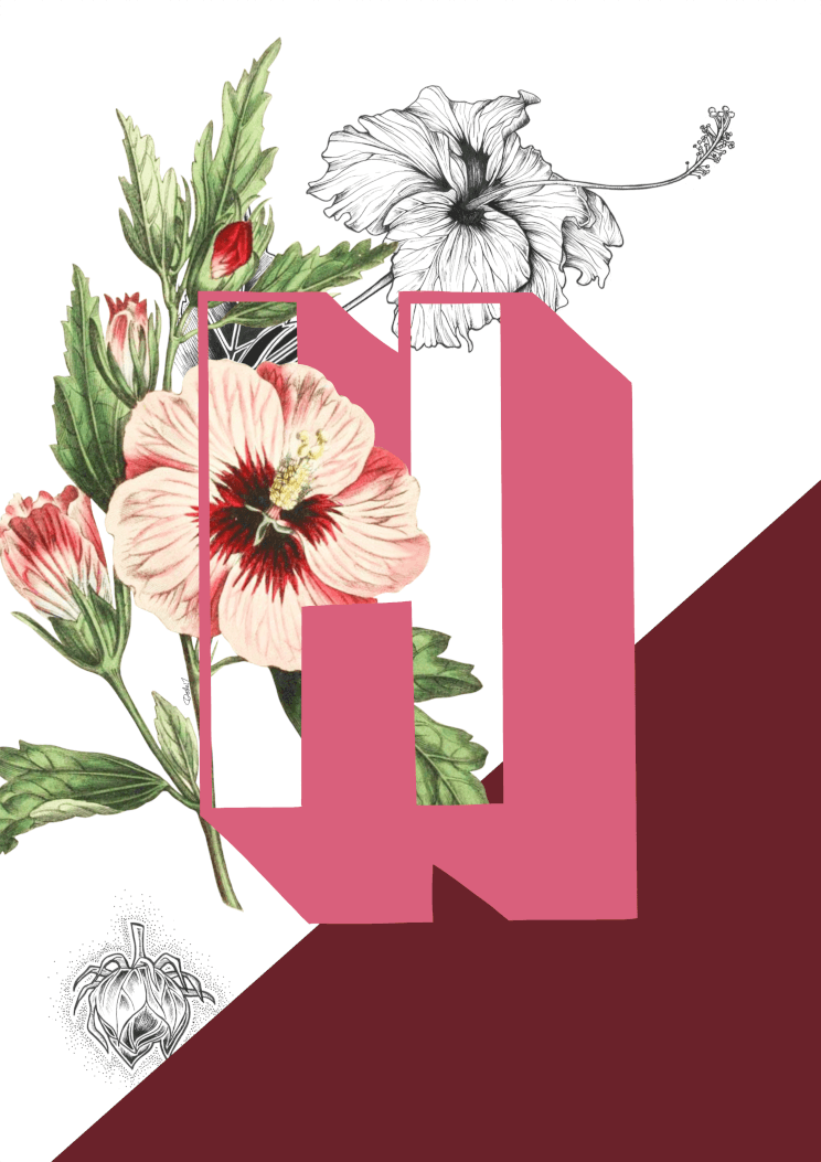 Botanical Alphabet H A2 Print