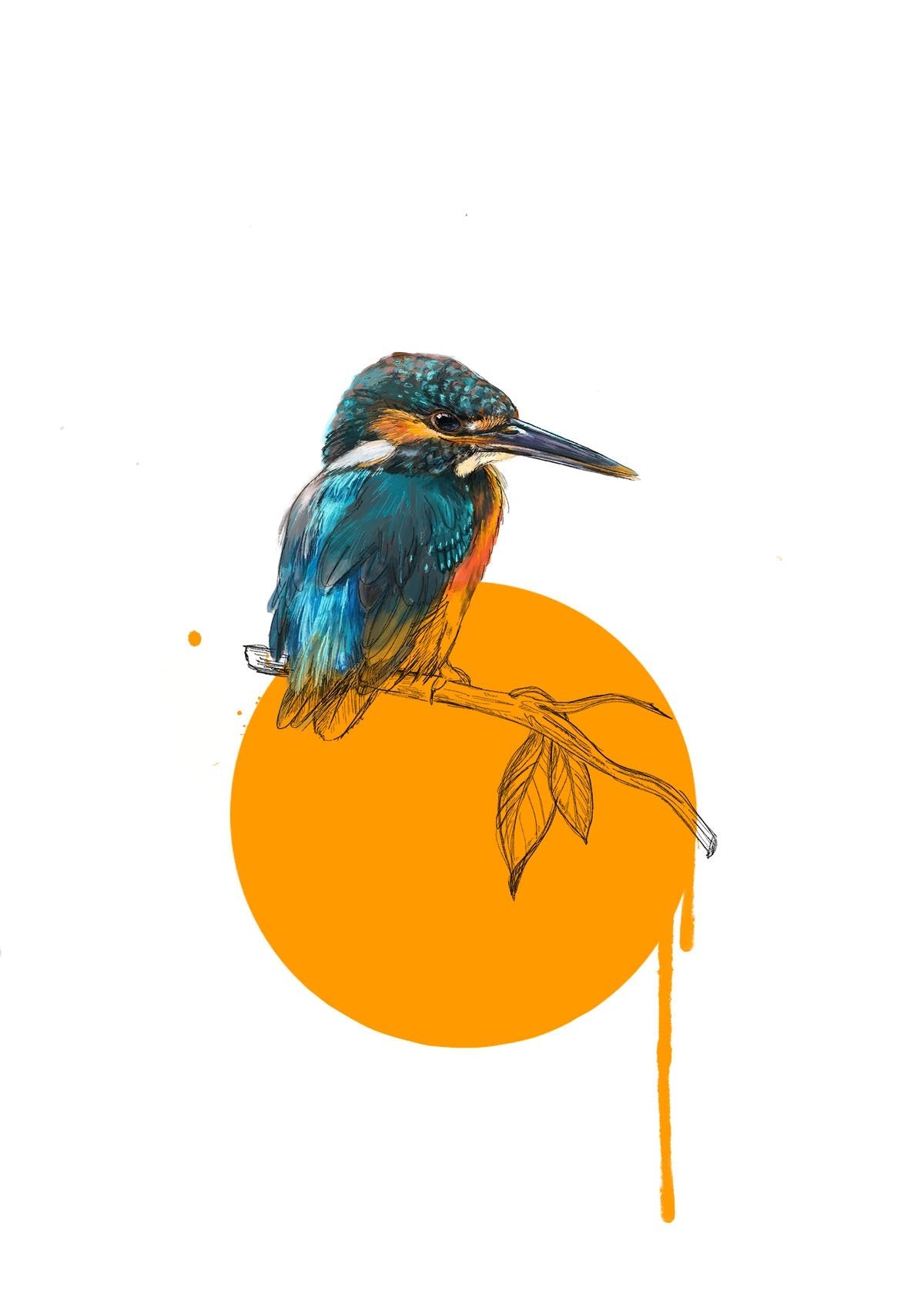 Kingfisher A4 Giclée Print