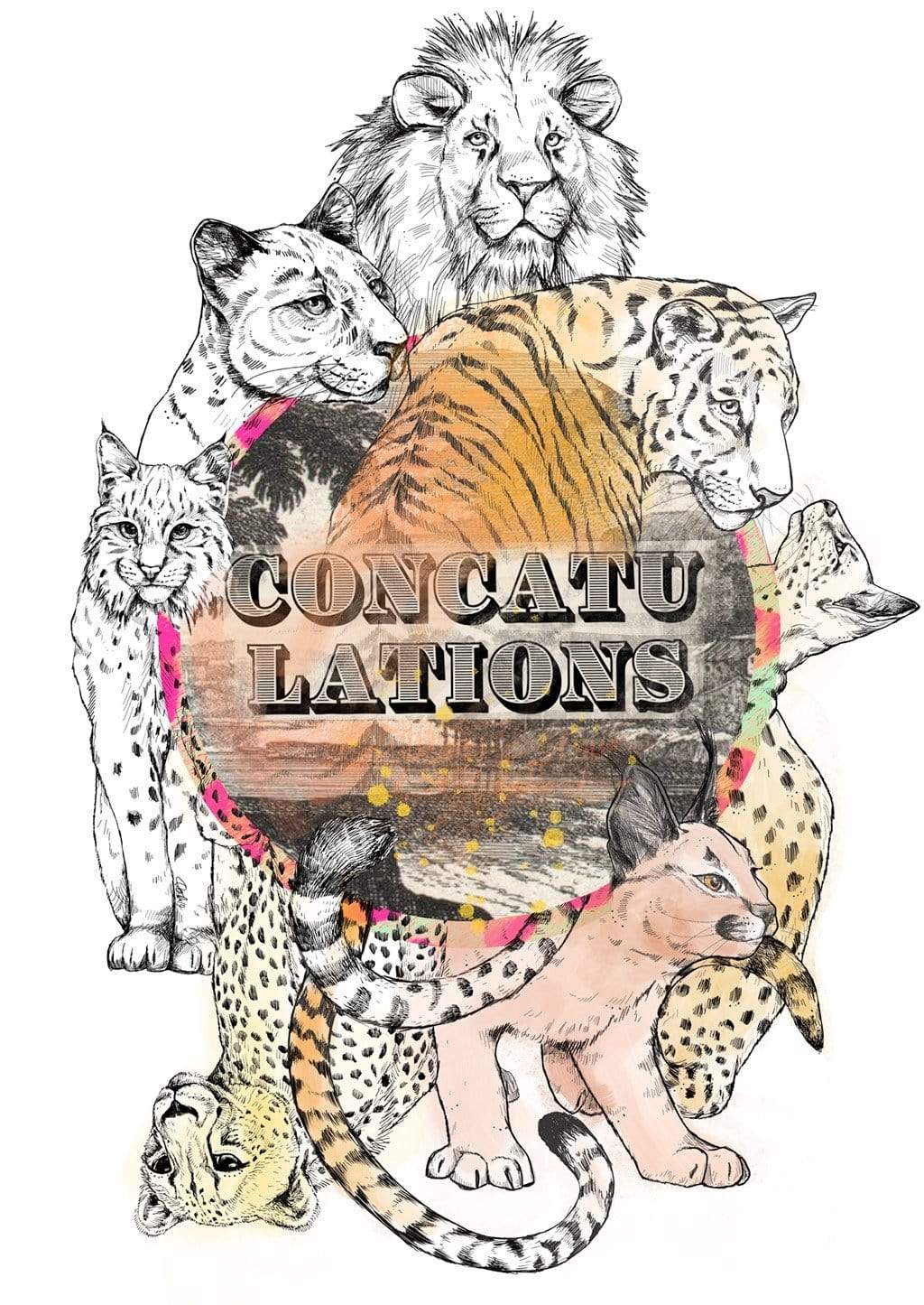 Concatulations Greeting Card