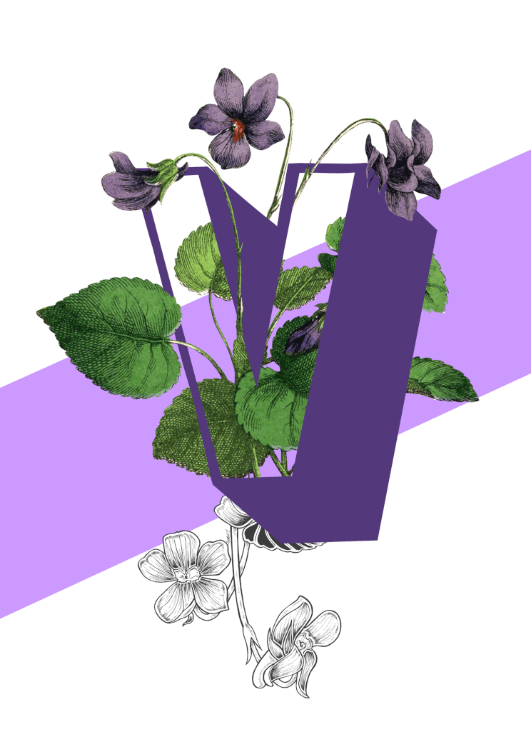 Botanical Alphabet V A2 Print