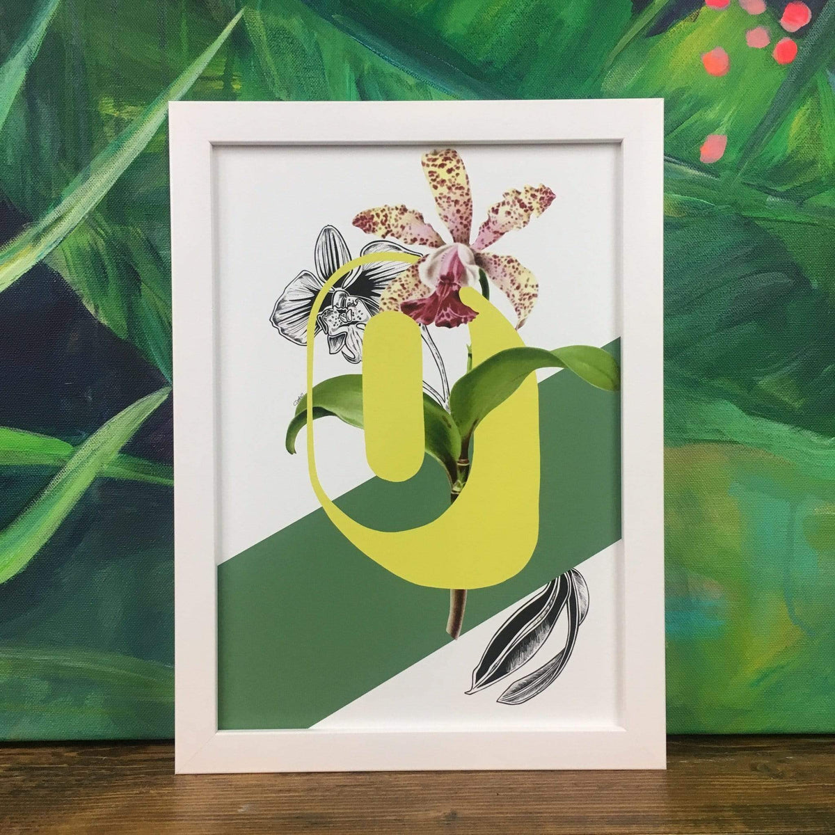 Botanical Alphabet O A4 Print