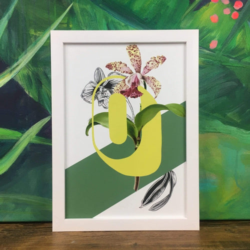Botanical Alphabet O A2 Print