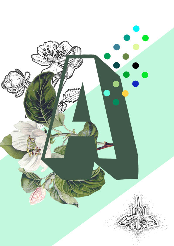 Botanical Alphabet Greeting Cards Full Set