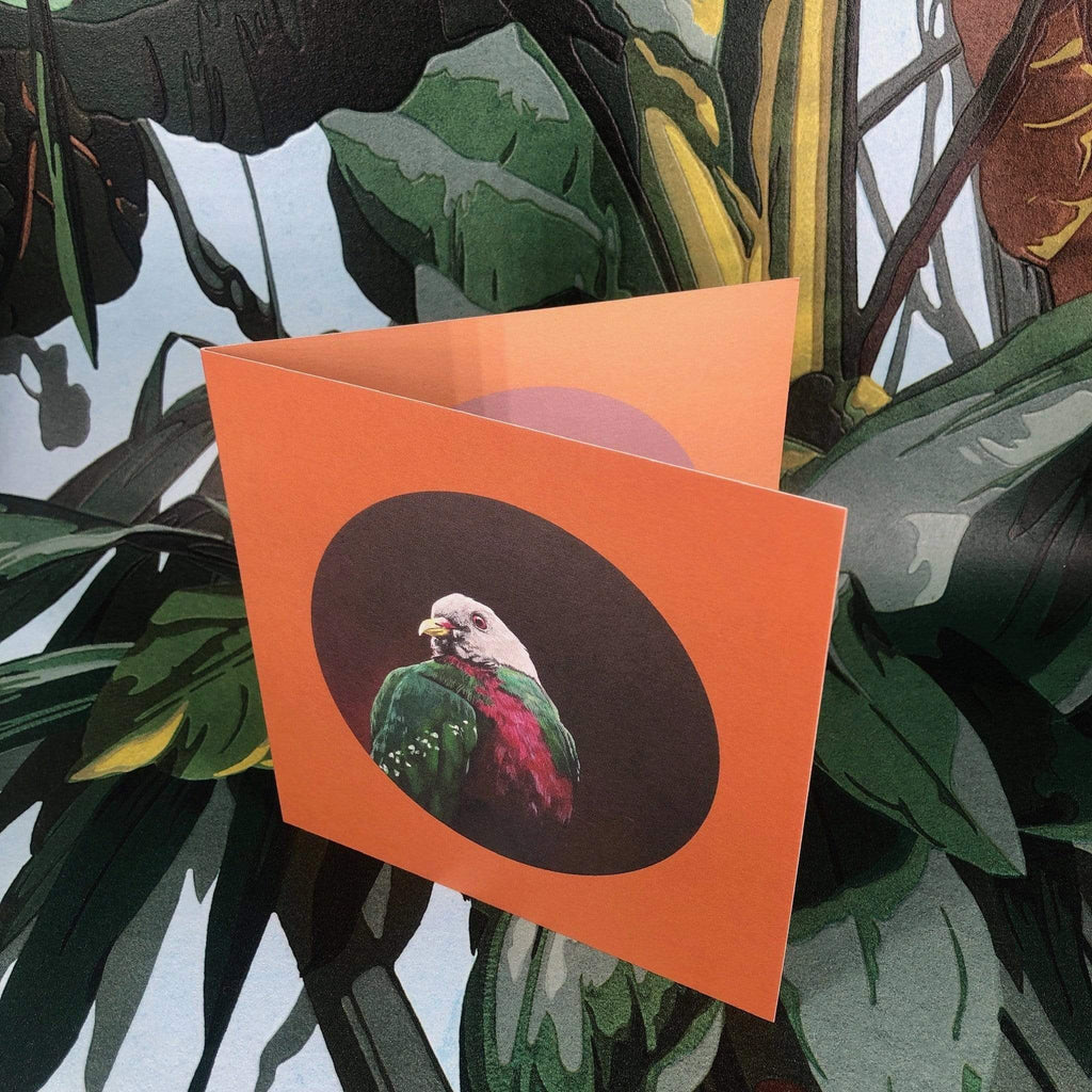 Wompoo Fruit Dove Greeting Card