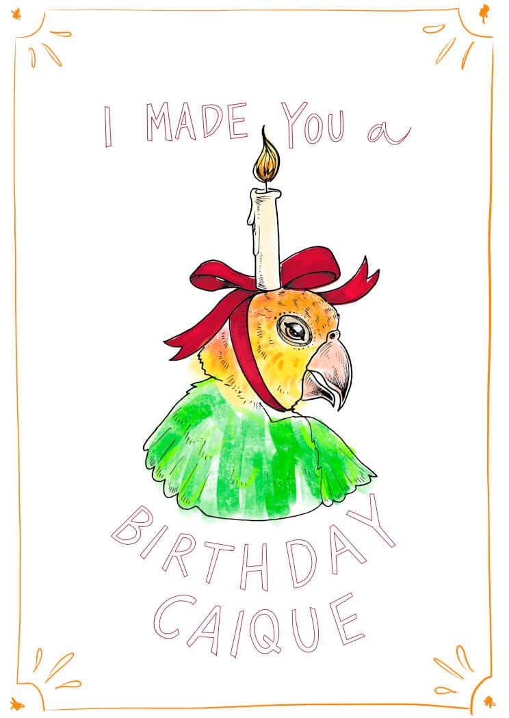 Birthday Caique Greeting Card