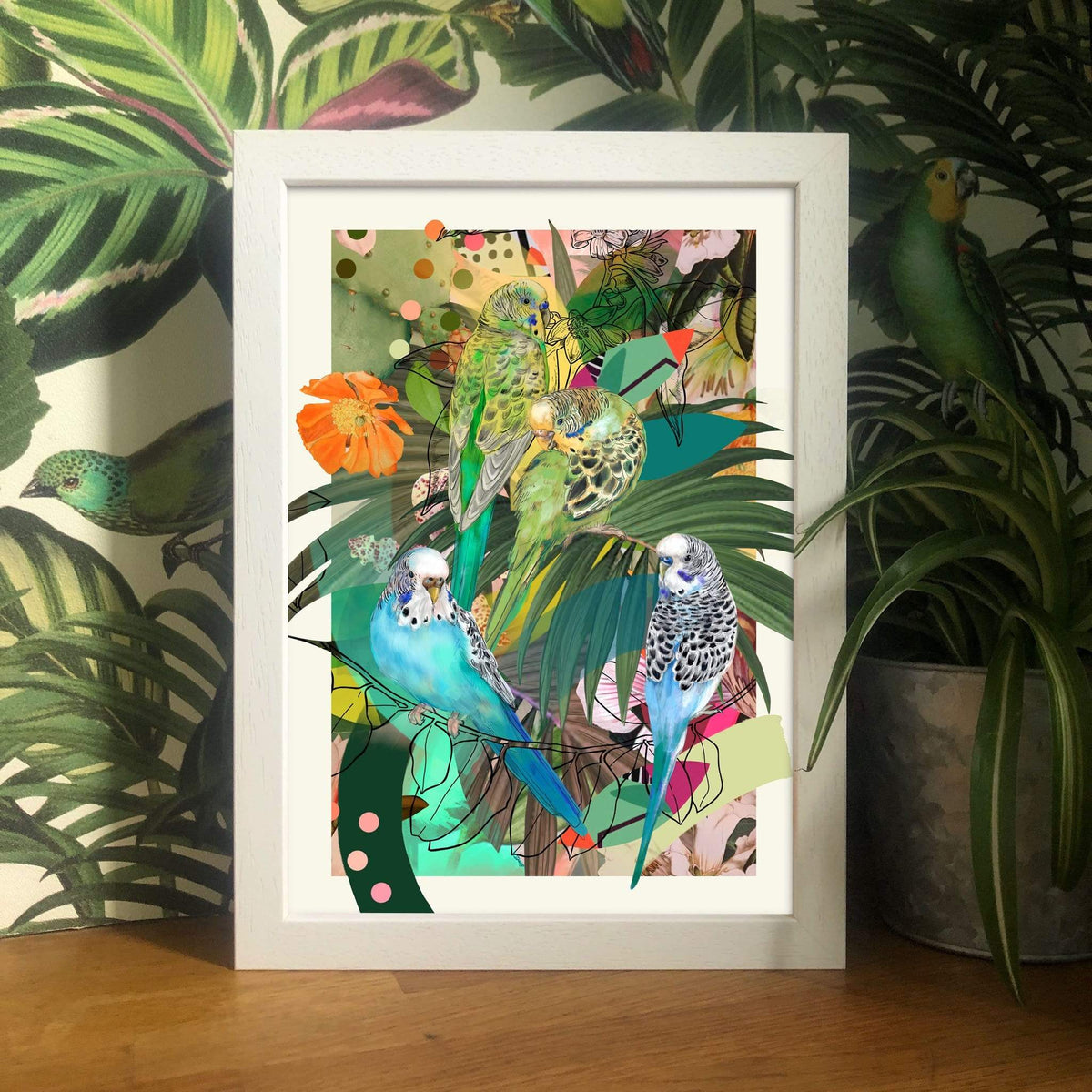 Blooming Budgerigars A3 Print