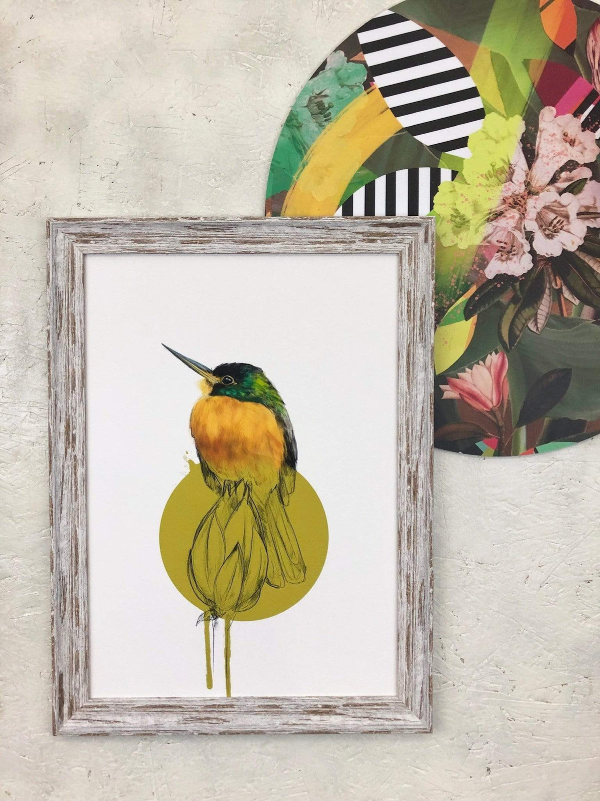 Blue Cheeked Jacamar A2 Giclée Print