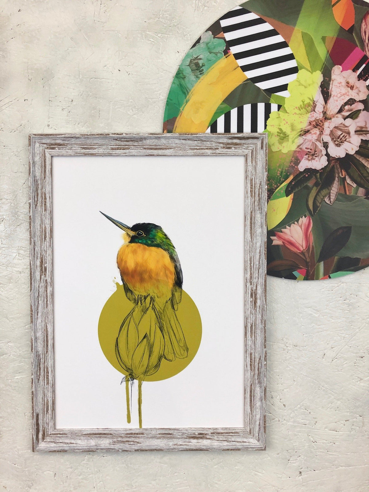 Blue Cheeked Jacamar A4 Giclée Print