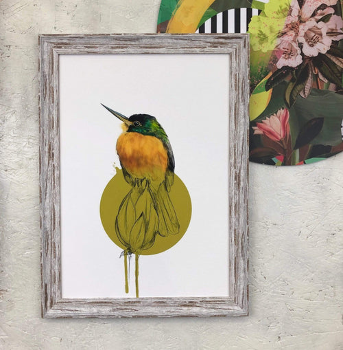 Blue Cheeked Jacamar A2 Giclée Print