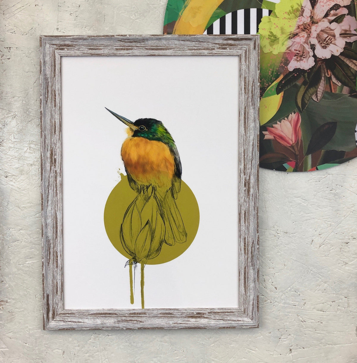 Blue Cheeked Jacamar A4 Giclée Print