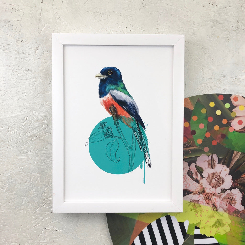 Blue Crowned Trogon A4 Giclée Print