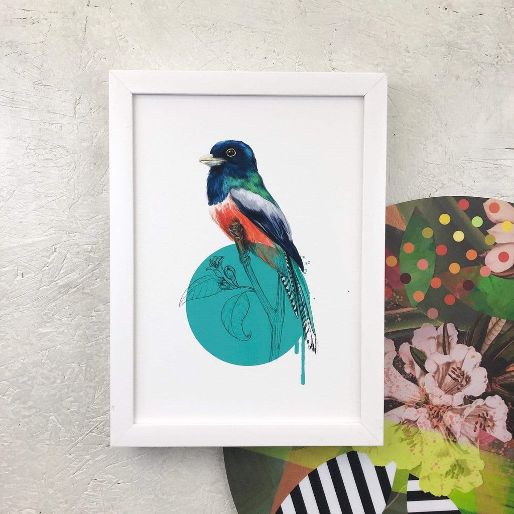 Blue Crowned Trogon A2 Giclée Print