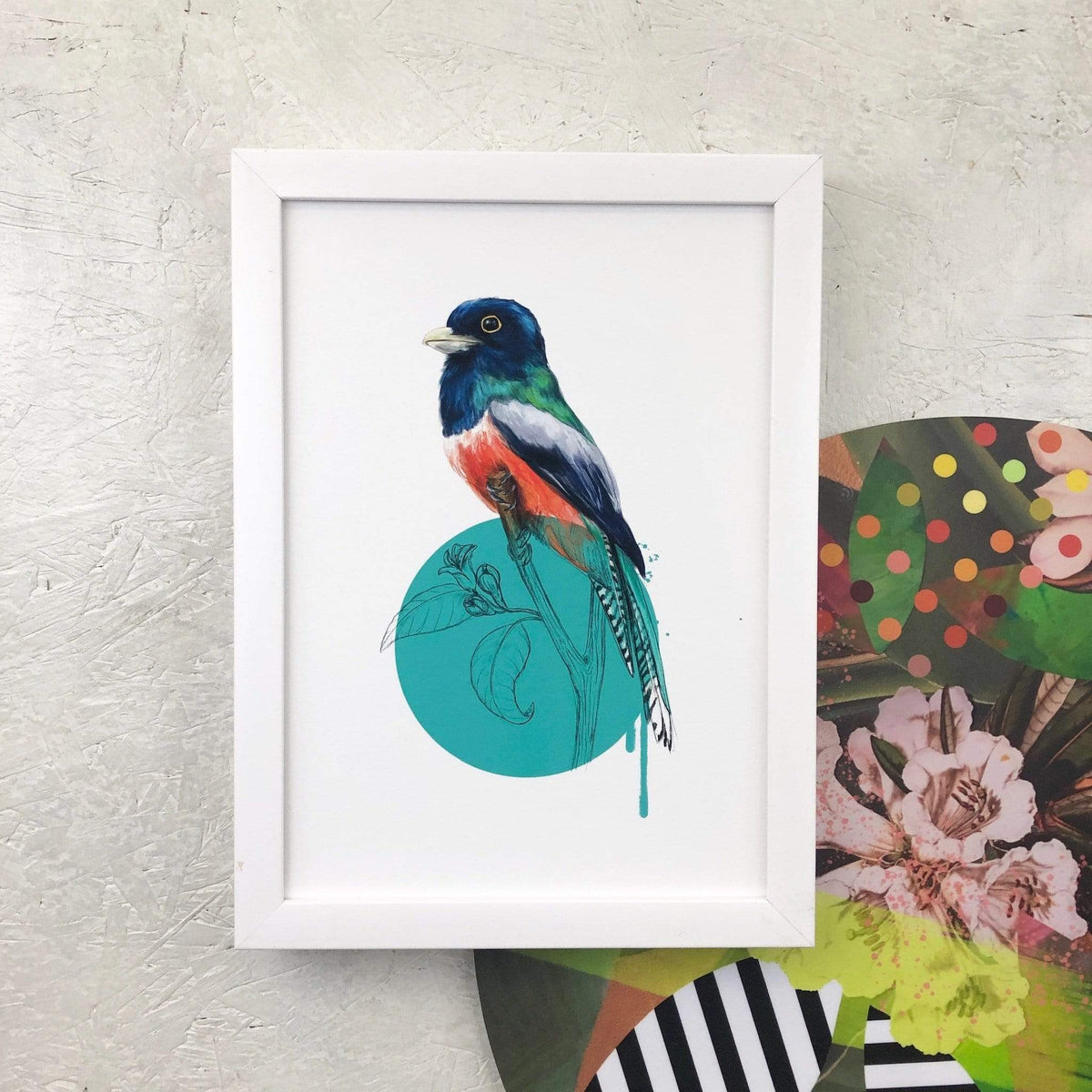 Blue Crowned Trogon A2 Giclée Print