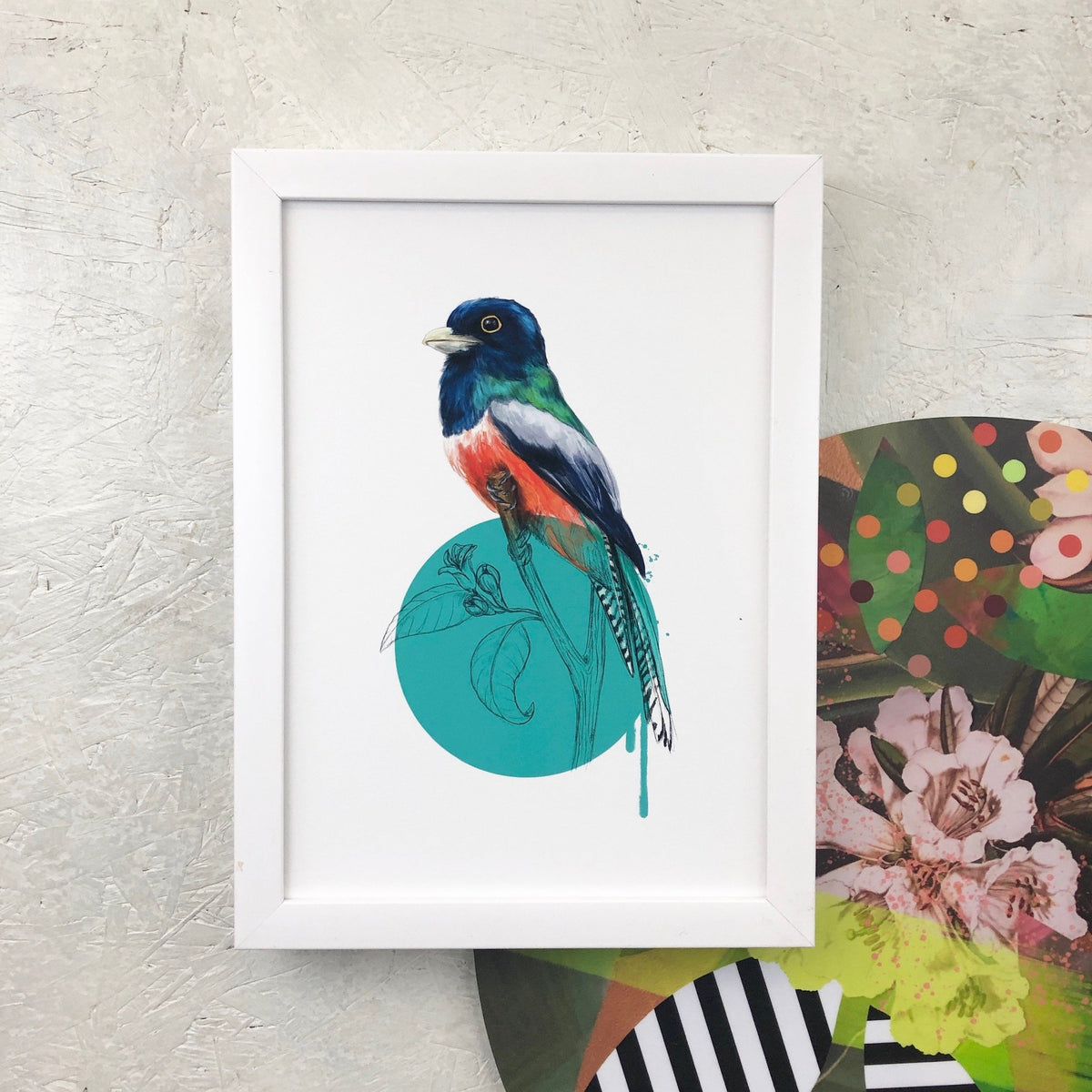 Blue Crowned Trogon A3 Giclée Print