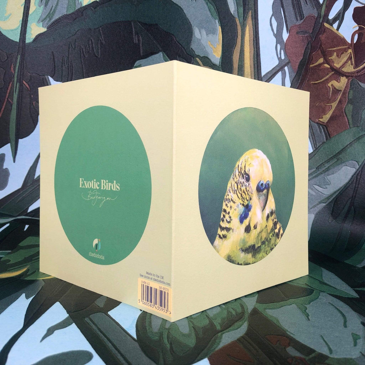 Green Budgie Greeting Card