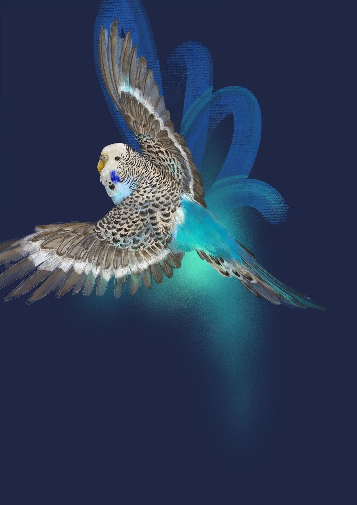 Budgerigar’s Midnight Adventure