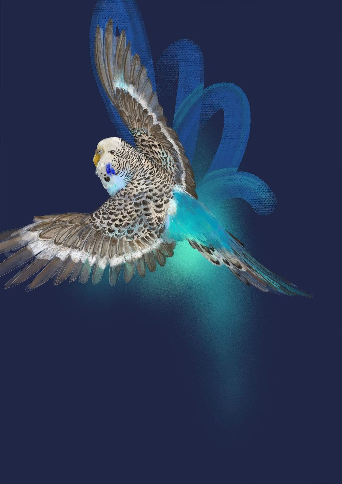 Budgerigar’s Midnight Adventure