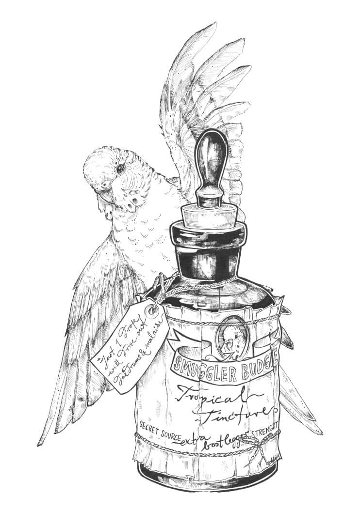 Smuggler Budgie Tropical Tincture A3 Print