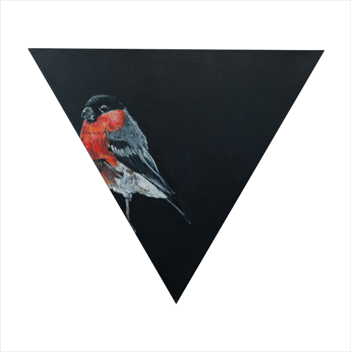 Bullfinch 8" Giclée Print