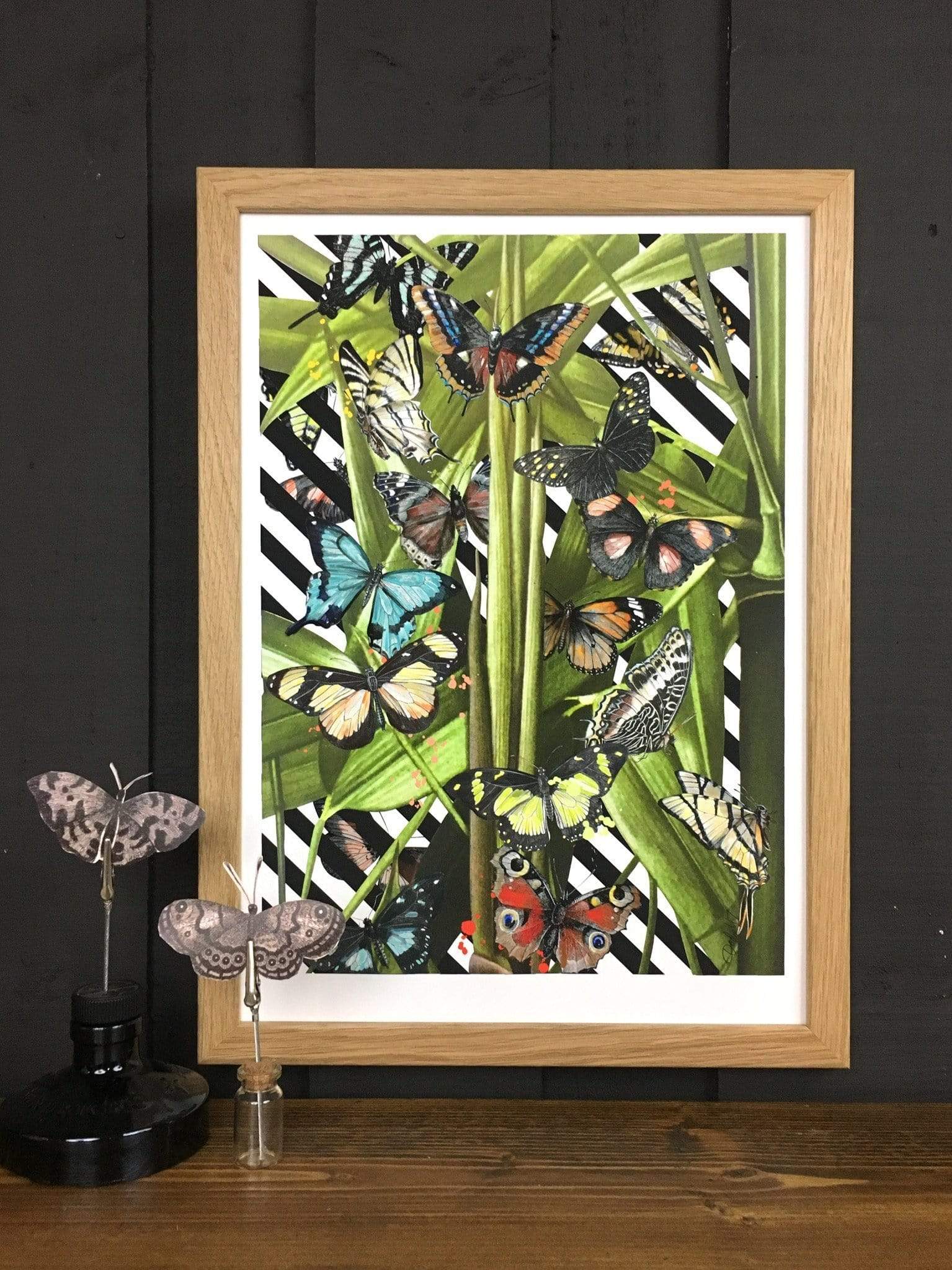 Butterfly Tropicana A3 Print