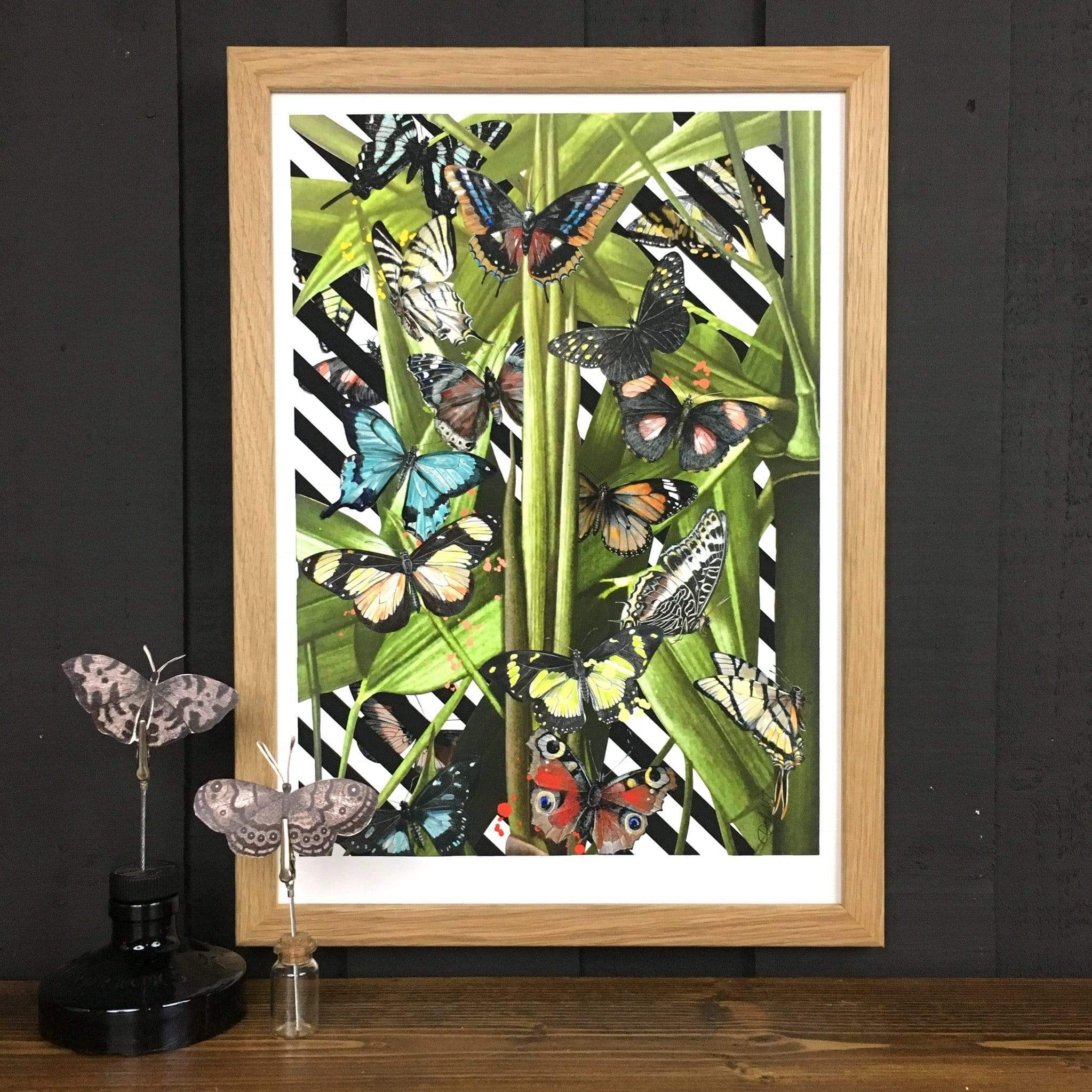 Butterfly Tropicana A3 Print