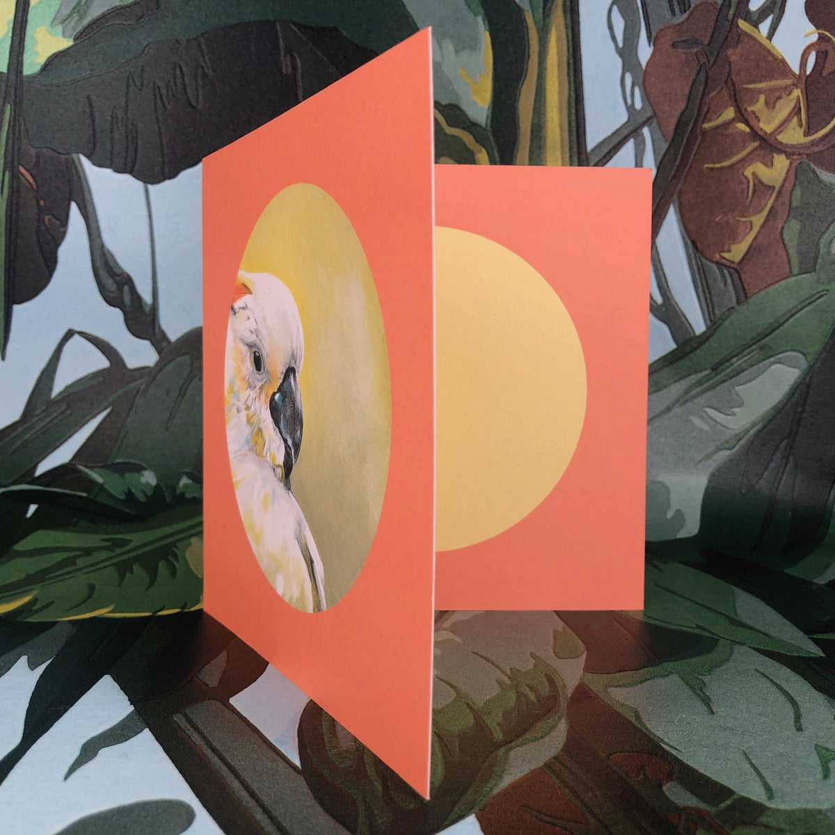 Sulphur Crested Cockatoo Greeting Card