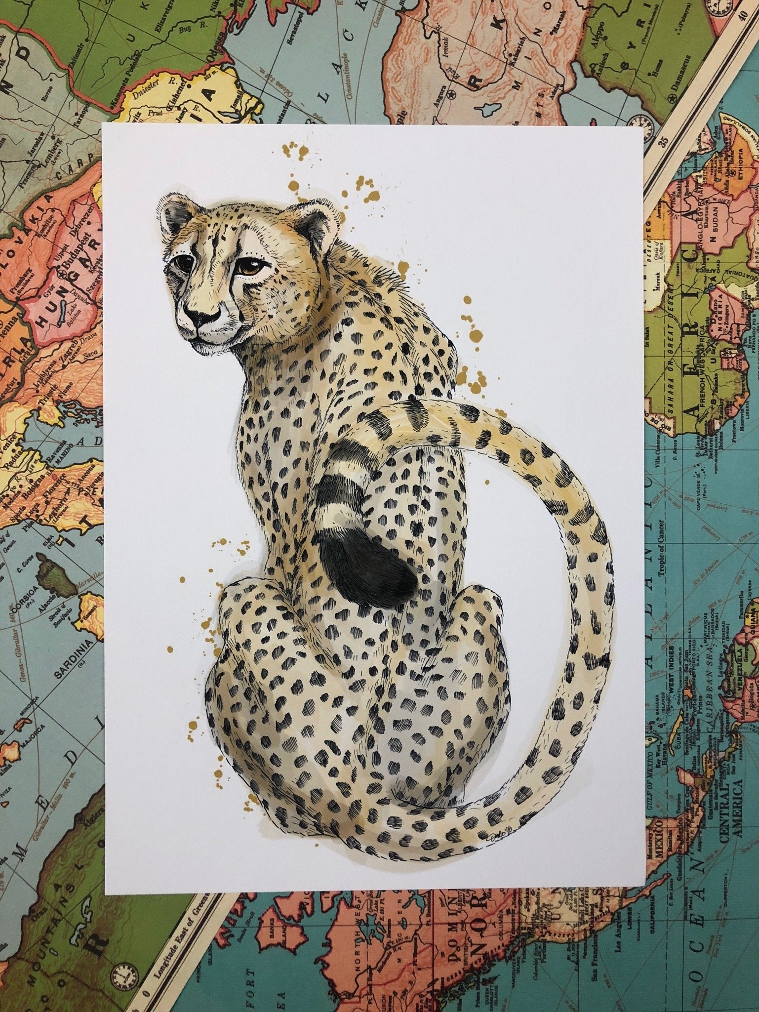Cheetah Sits A4 Print