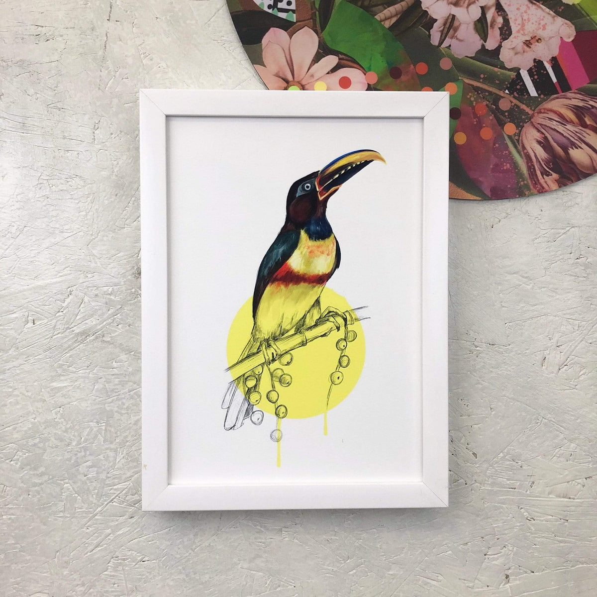 Chestnut Eared Araçari A3 Giclée Print