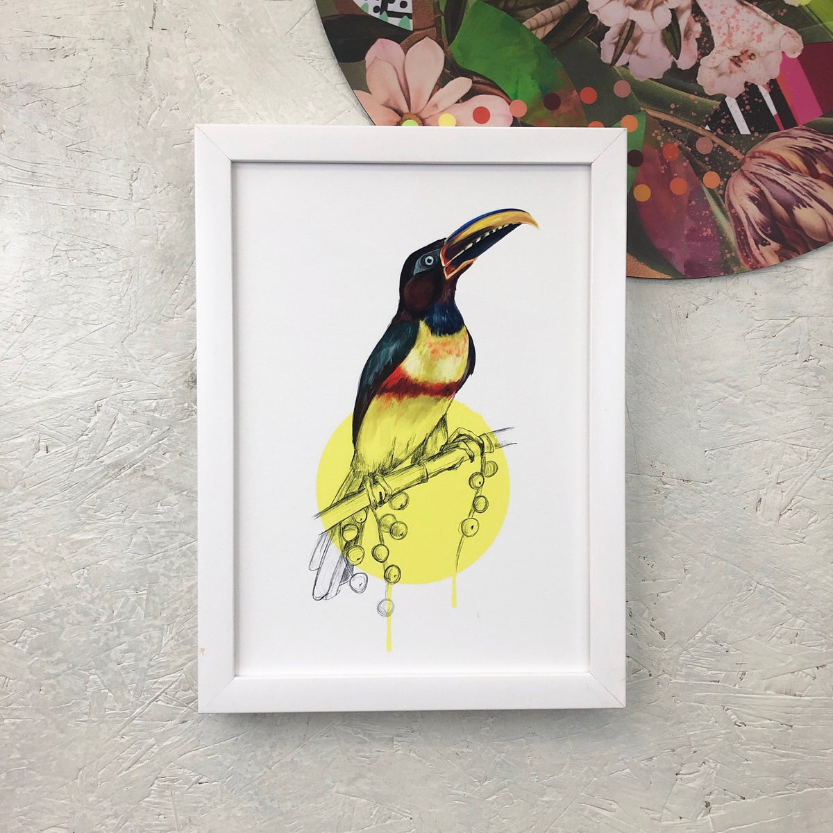 Chestnut Eared Araçari A4 Giclée Print