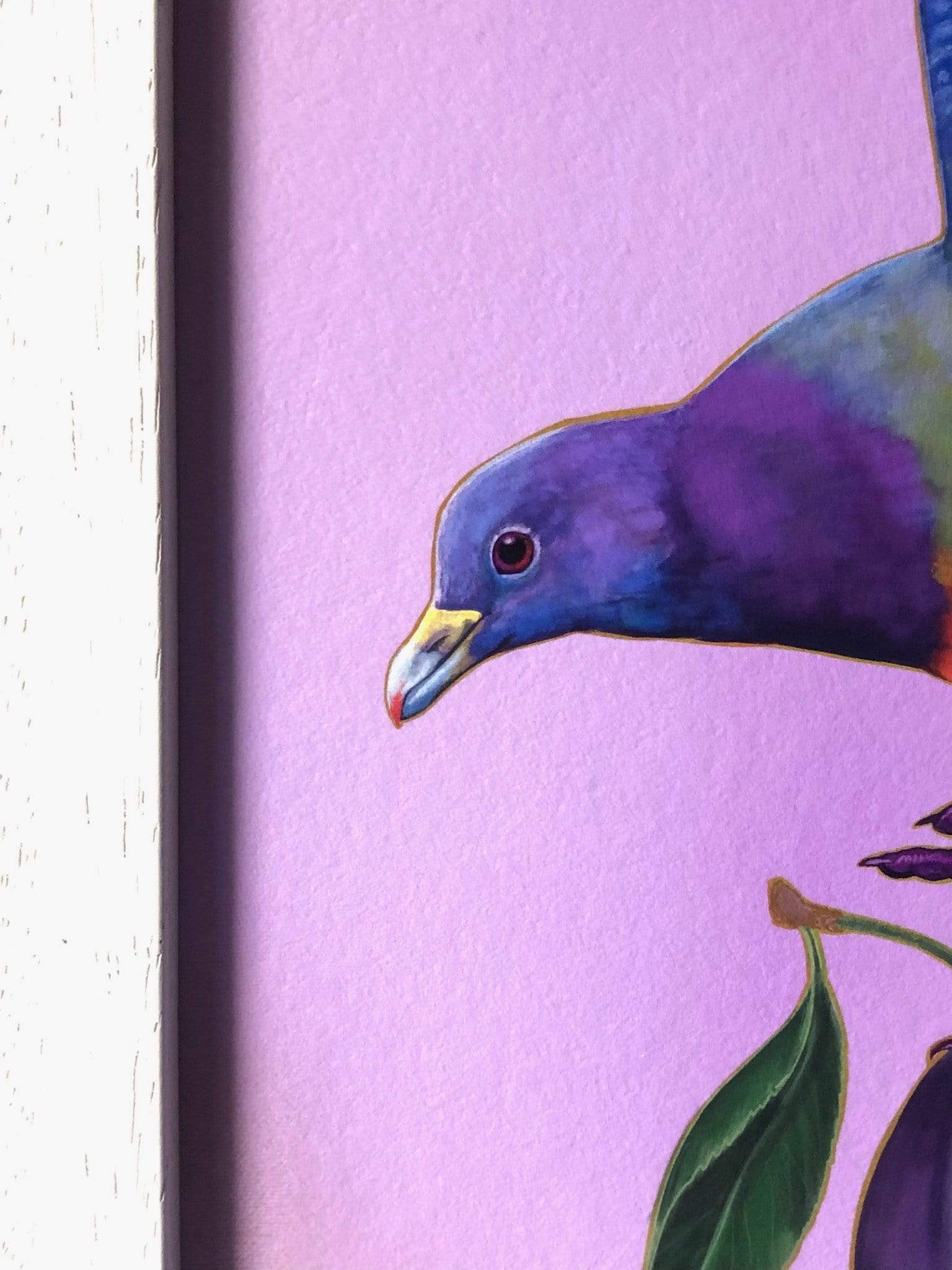Plump Pigeon Giclée Art Print Sticky Beaks Art Print