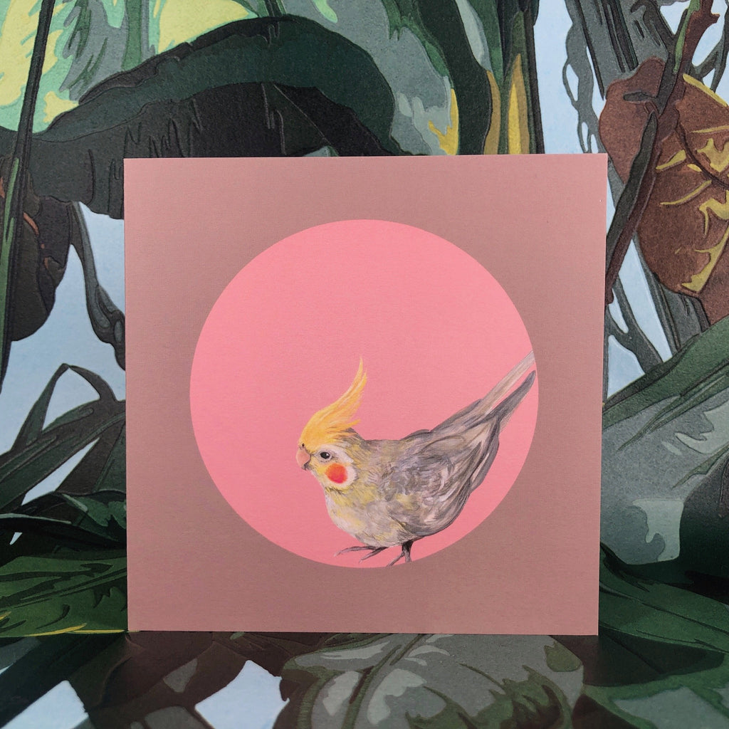Cockatiel Greeting Card