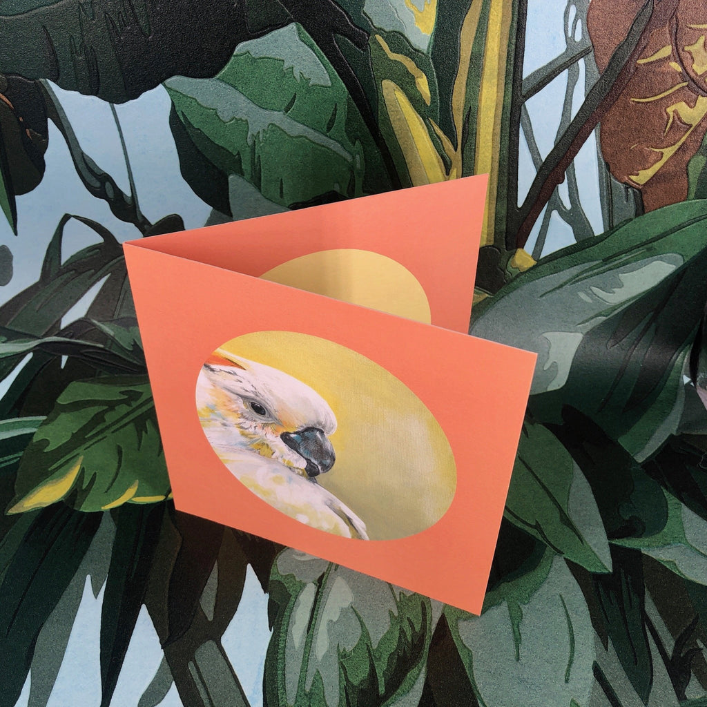 Sulphur Crested Cockatoo Greeting Card
