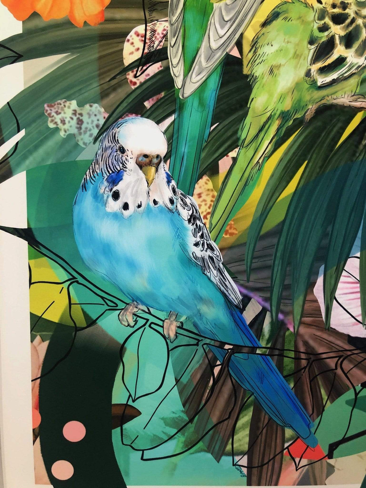 Blooming Budgerigars A3 Print