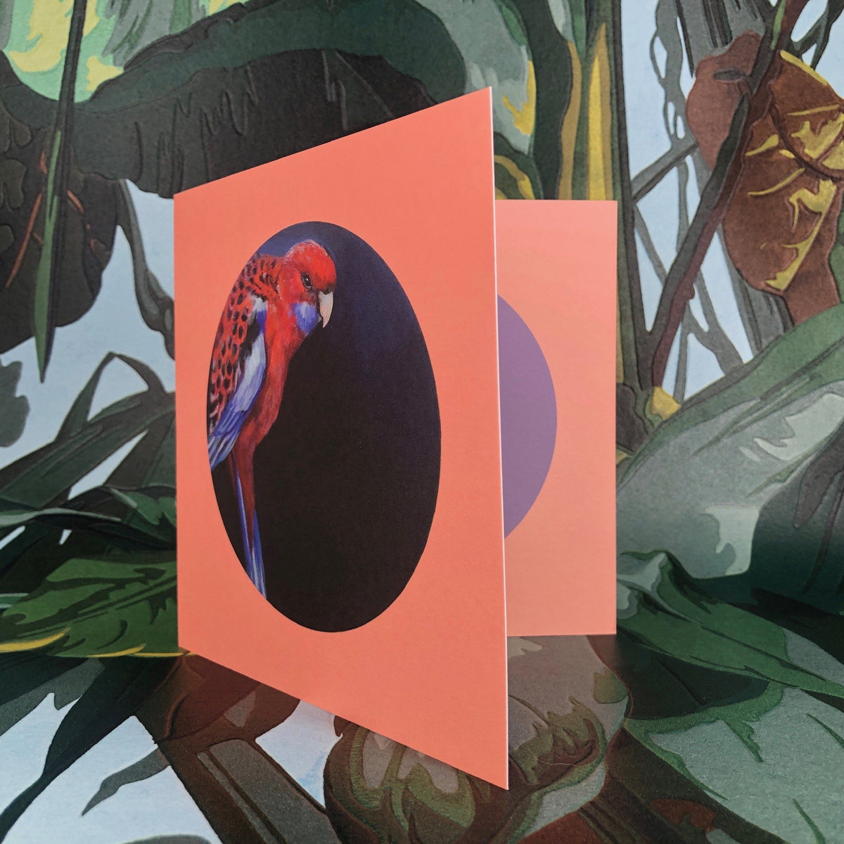 Crimson Rosella Greeting Card