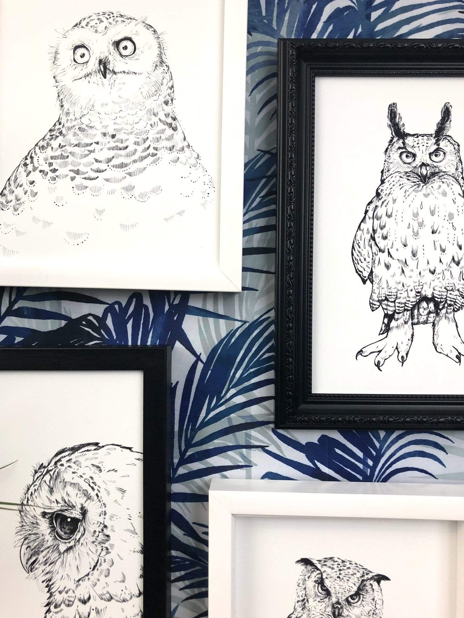 Angry Owly A4 Print