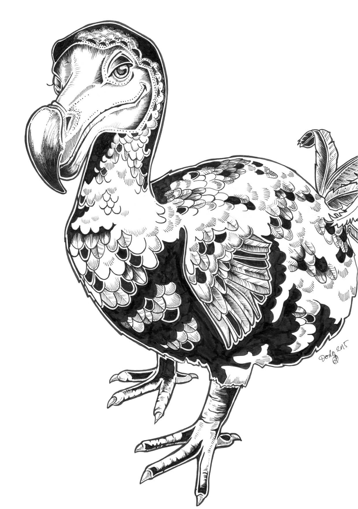 Dodo Greeting Card