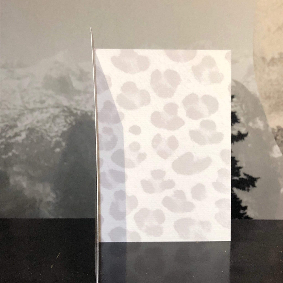Concatulations Greeting Card