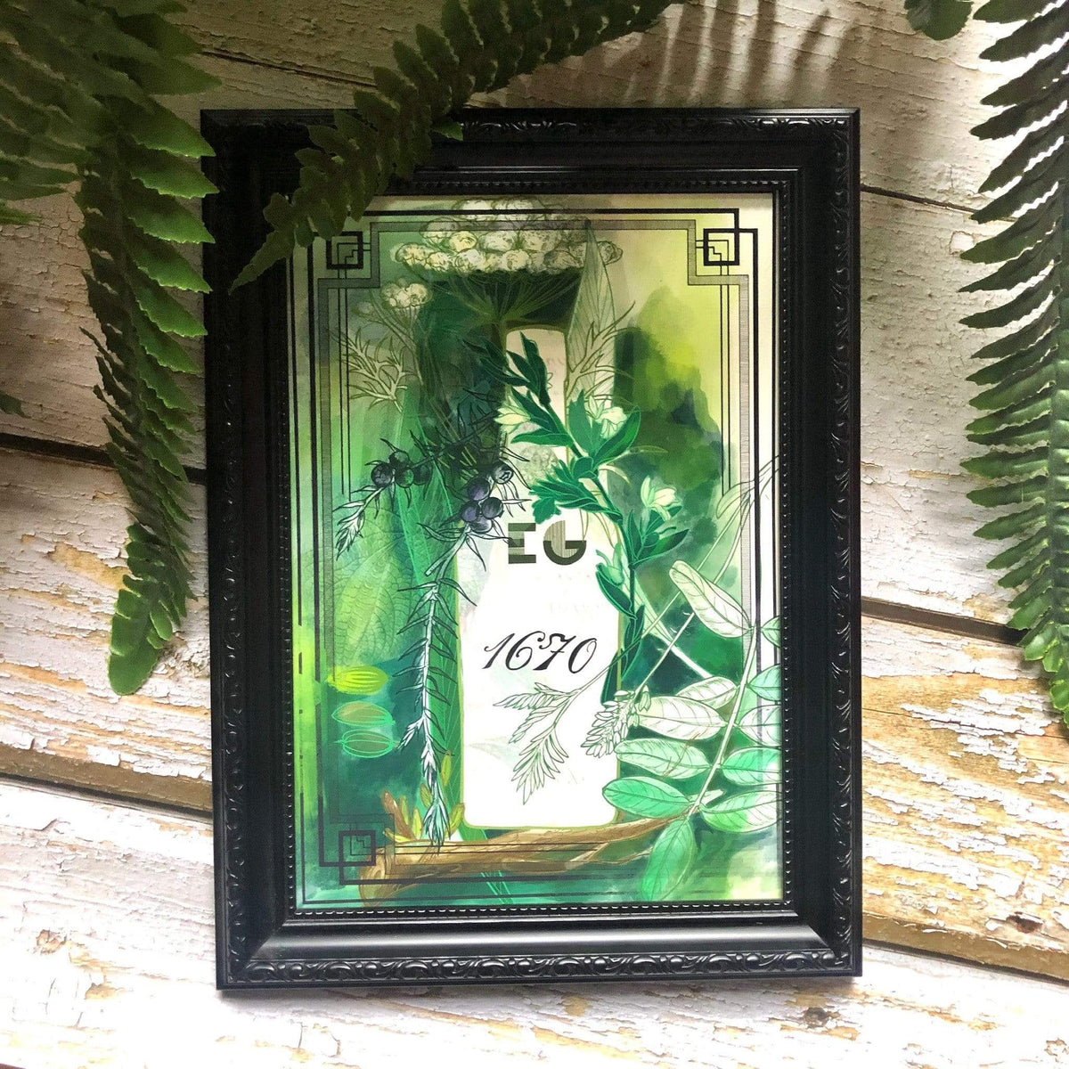 Edinburgh Gin 1670 Botanical A2 Giclée Print