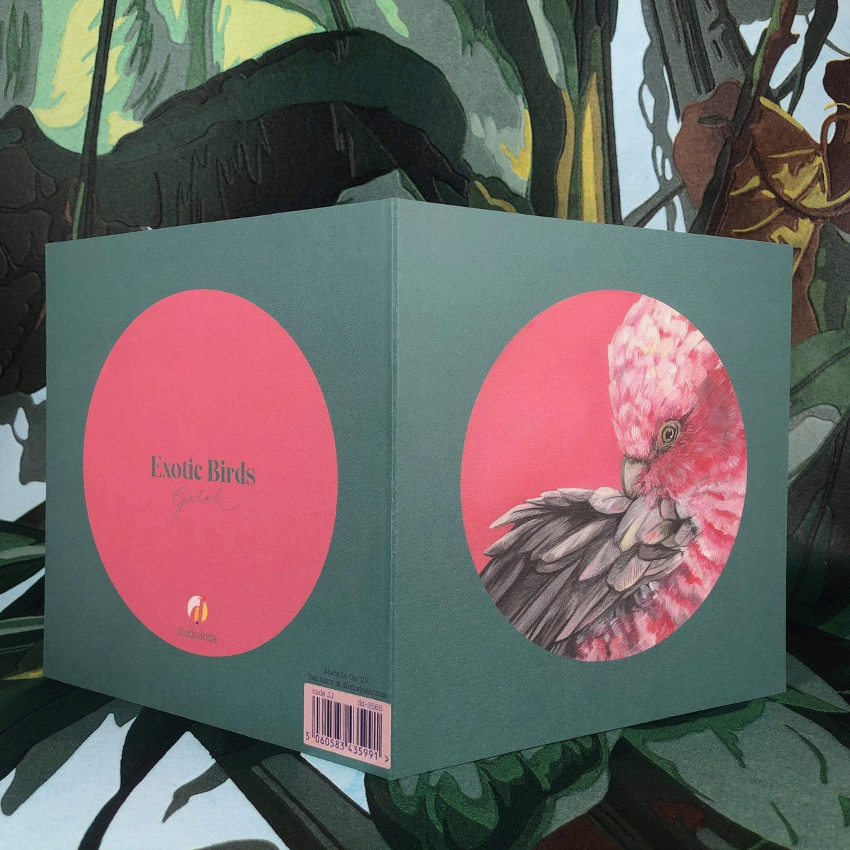 Pink Galah Greeting Card