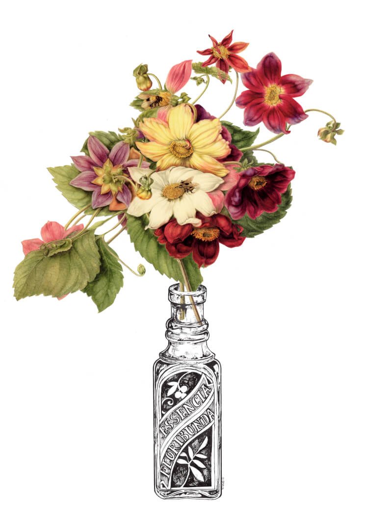 Flower Essence Collage A3 Print