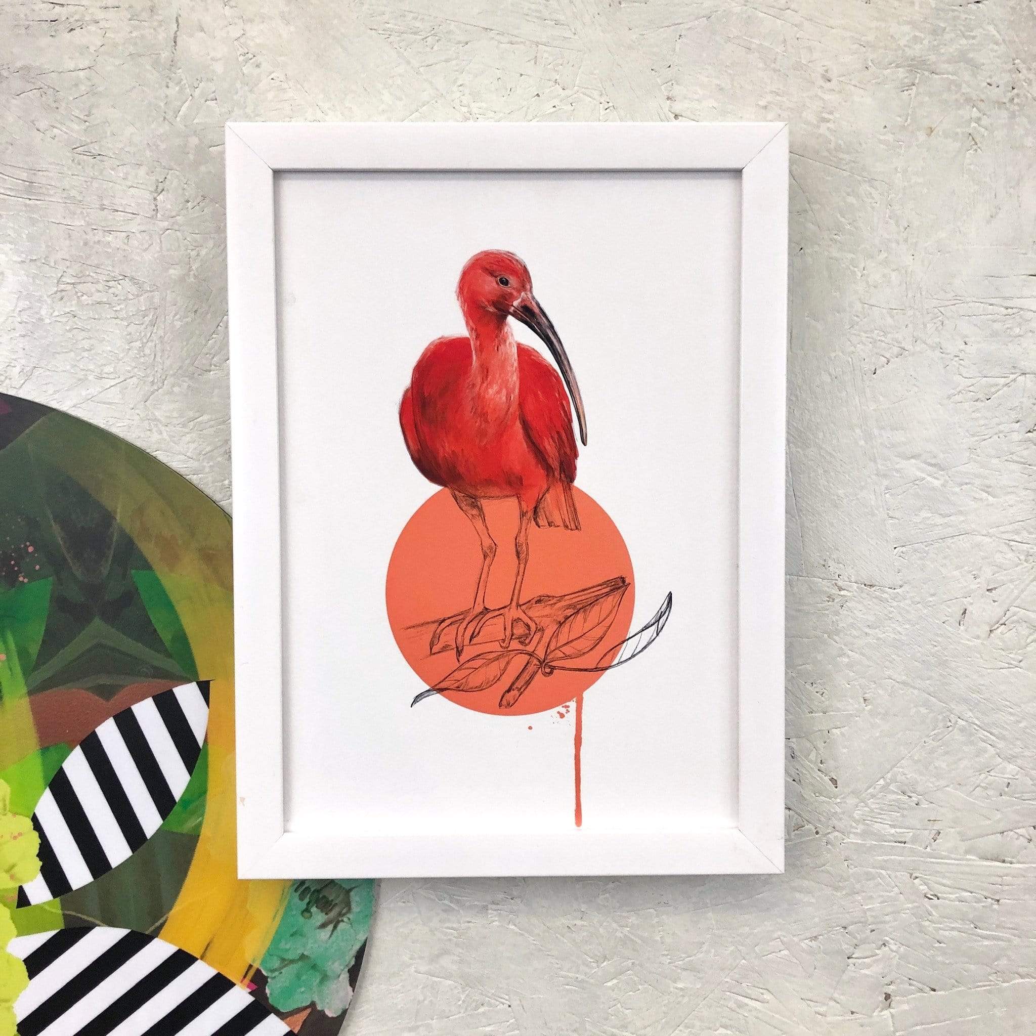 Scarlet Ibis A2 Giclée Print