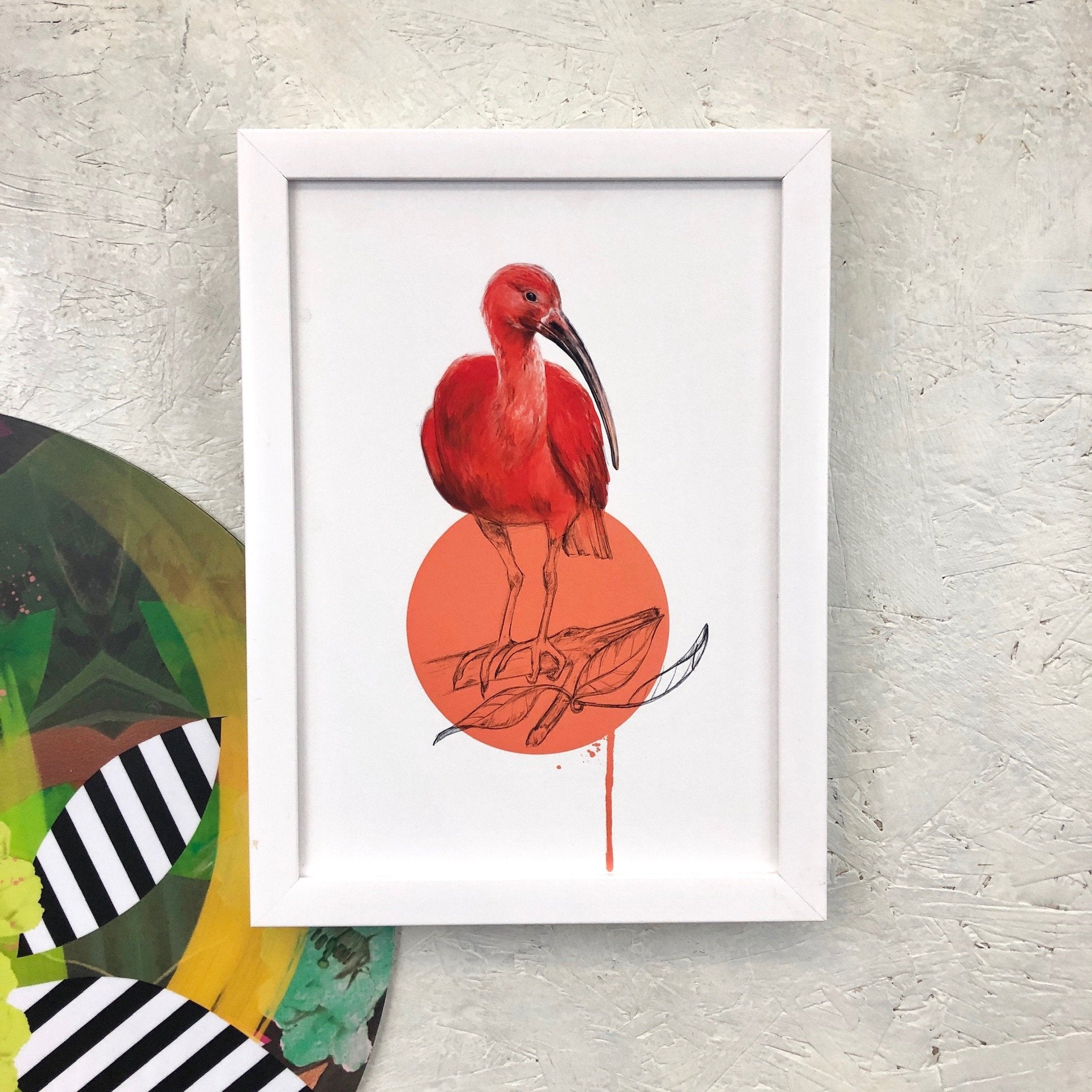 Scarlet Ibis A3 Giclée Print