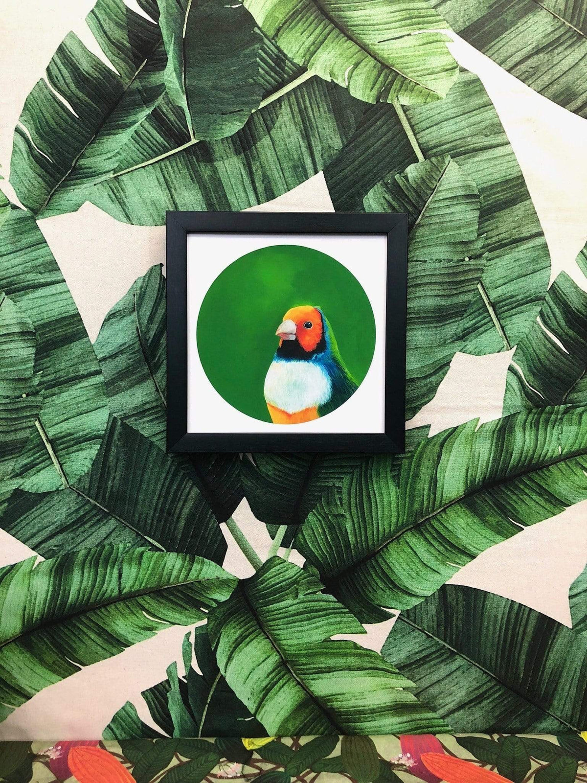Gouldian Finch 8" Giclée Print