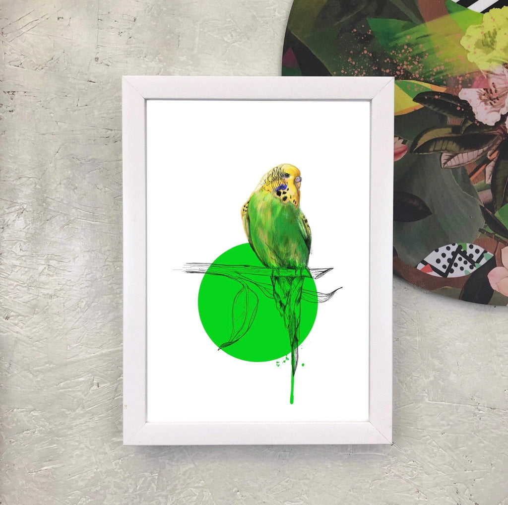 Budgie A2 Giclée Print